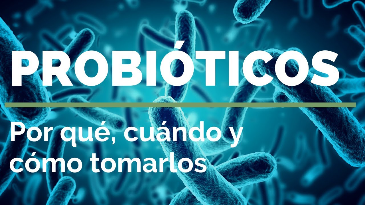 durante cuanto tiempo se puede tomar probioticos