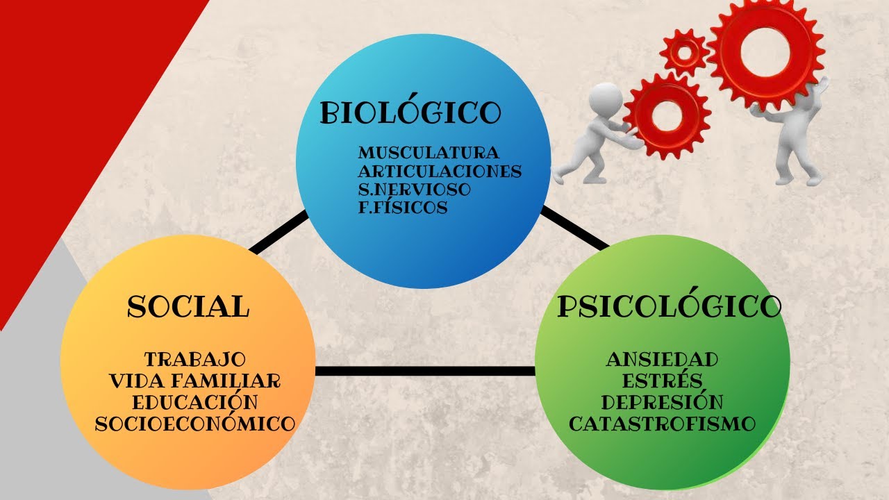 en que consiste el modelo biopsicosocial