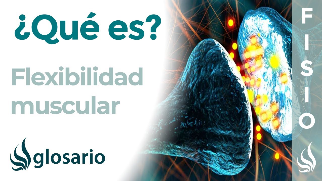 factores que influyen en la flexibilidad