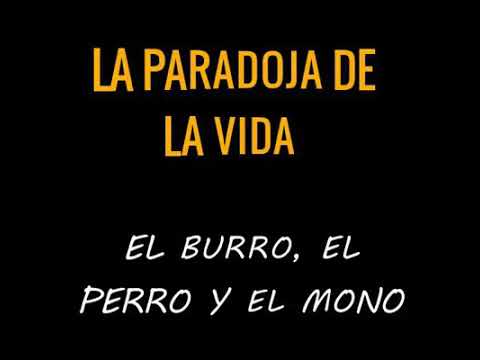 frases de estar hasta el moño