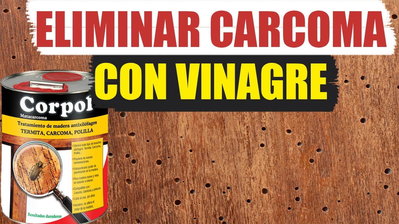 la carcoma pica a las personas