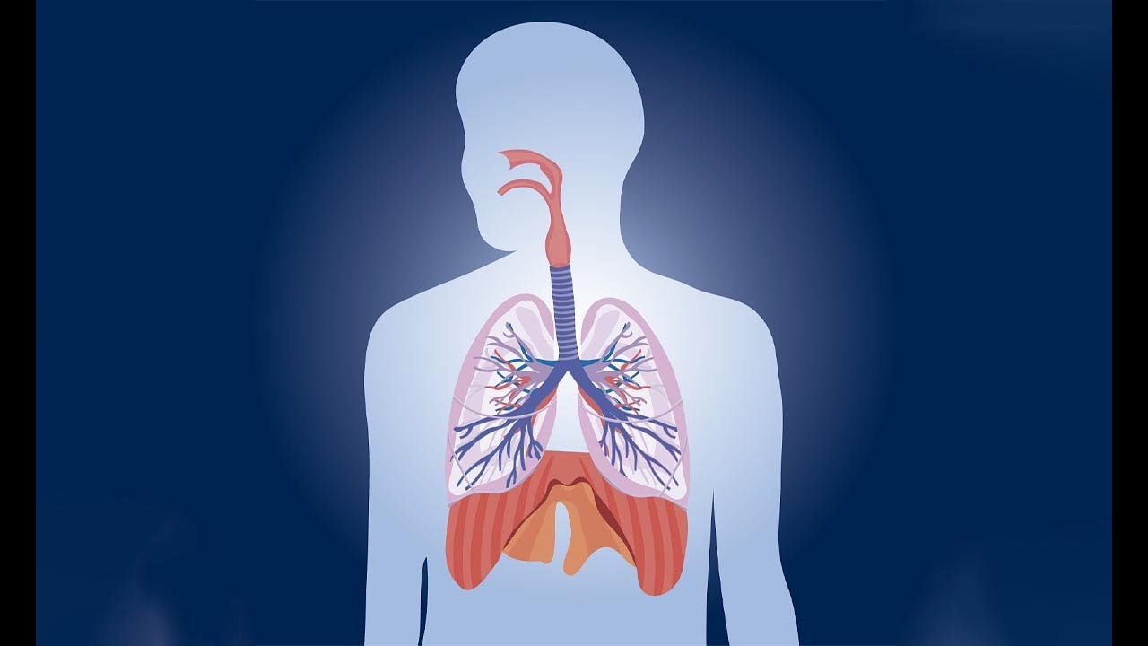 nuevos tratamientos para la fibrosis pulmonar