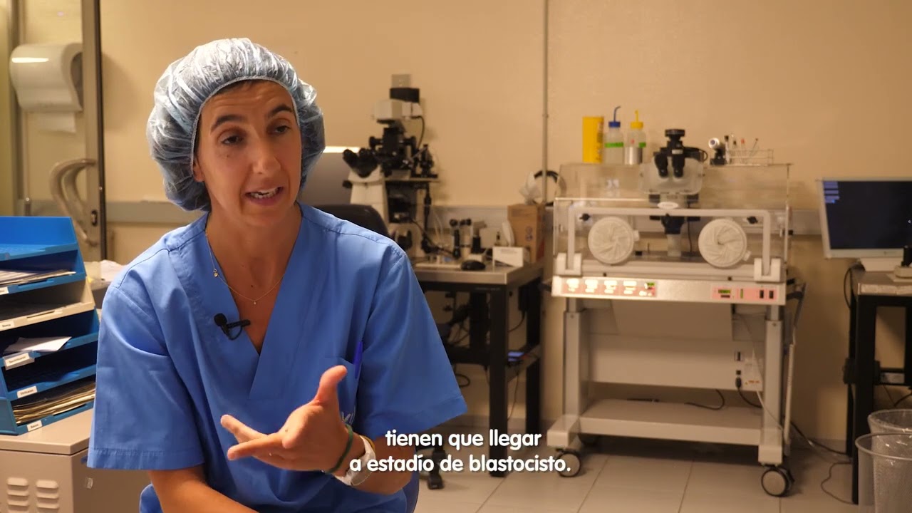 porcentaje óvulos fecundados que llegan a blastocisto