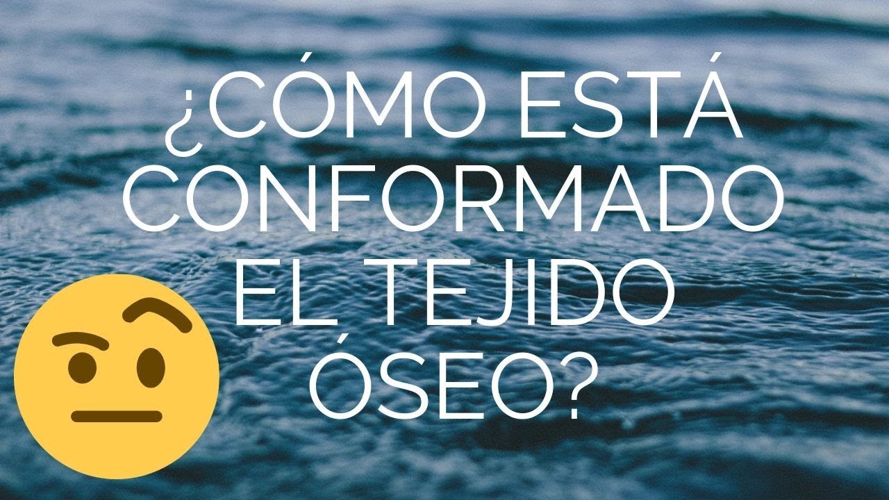 prolongación formada por el tejido óseo
