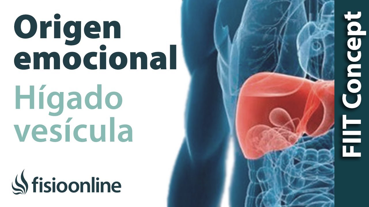 quistes en el hígado significado emocional