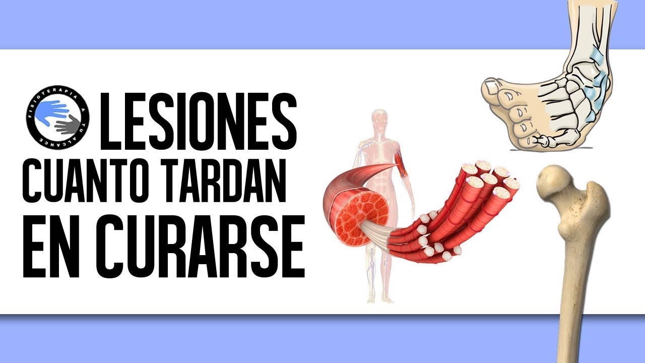 rotura de ligamentos tobillo tiempo de recuperación