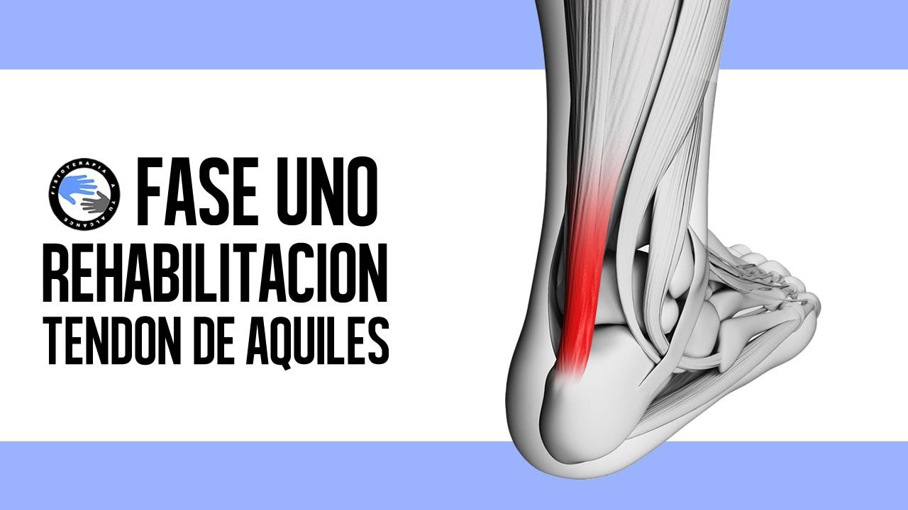rotura tendon de aquiles tiempo recuperacion