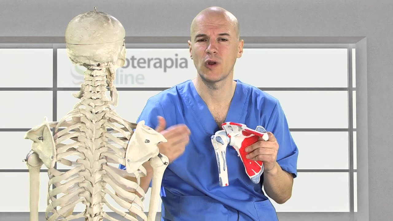 se puede trabajar con tendinitis supraespinoso