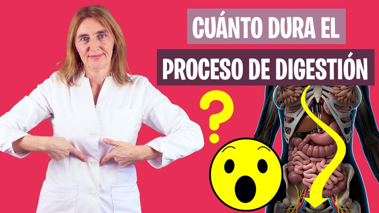 tiempo de digestión de los alimentos tabla