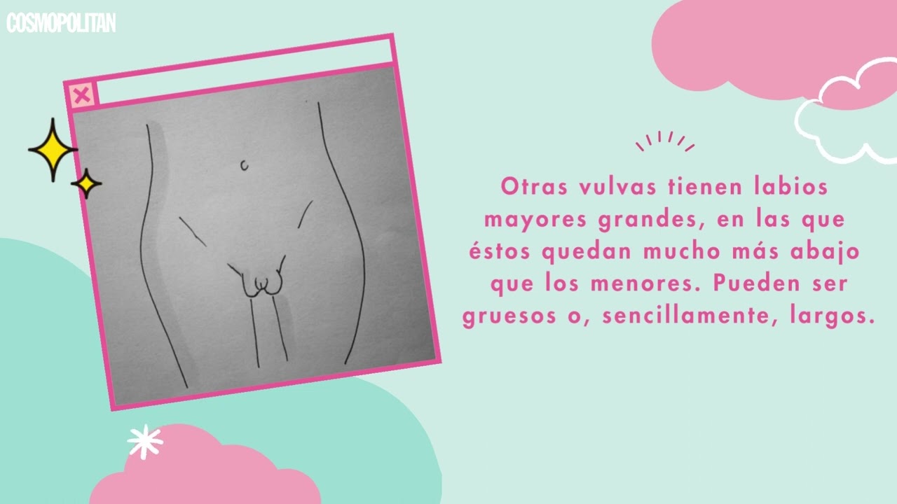 tipos de vulvas segun la edad